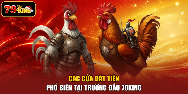 Các cửa đặt tiền phổ biến tại trường đấu 79king