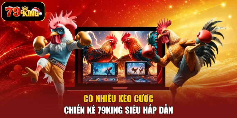 Có nhiều kèo cược chiến kê 79king siêu hấp dẫn