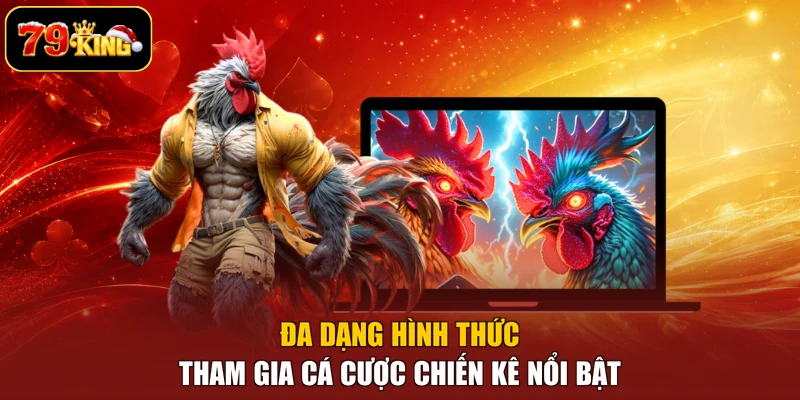 Đa dạng hình thức tham gia cá cược chiến kê nổi bật