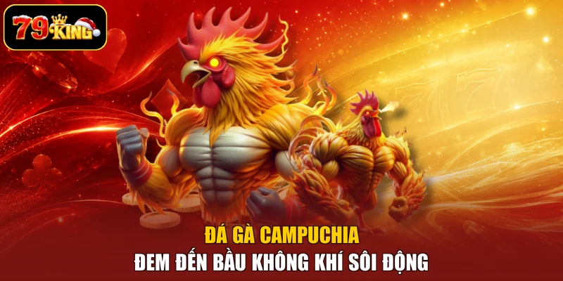 Đá gà Campuchia đem đến bầu không khí sôi động