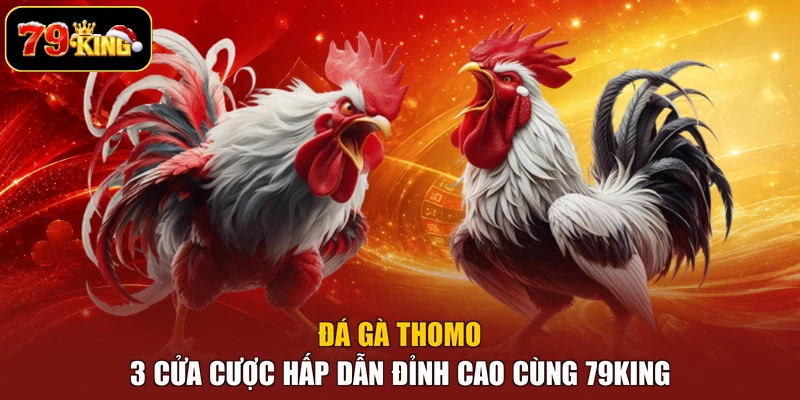 Đá gà Thomo