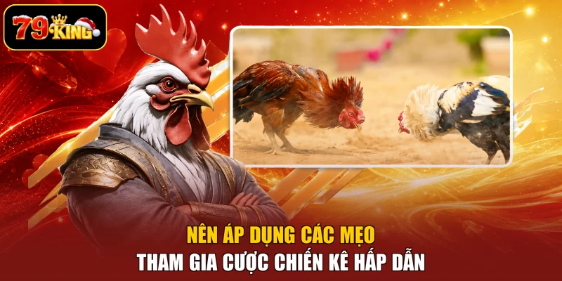 Nên áp dụng các mẹo tham gia cược chiến kê hấp dẫn